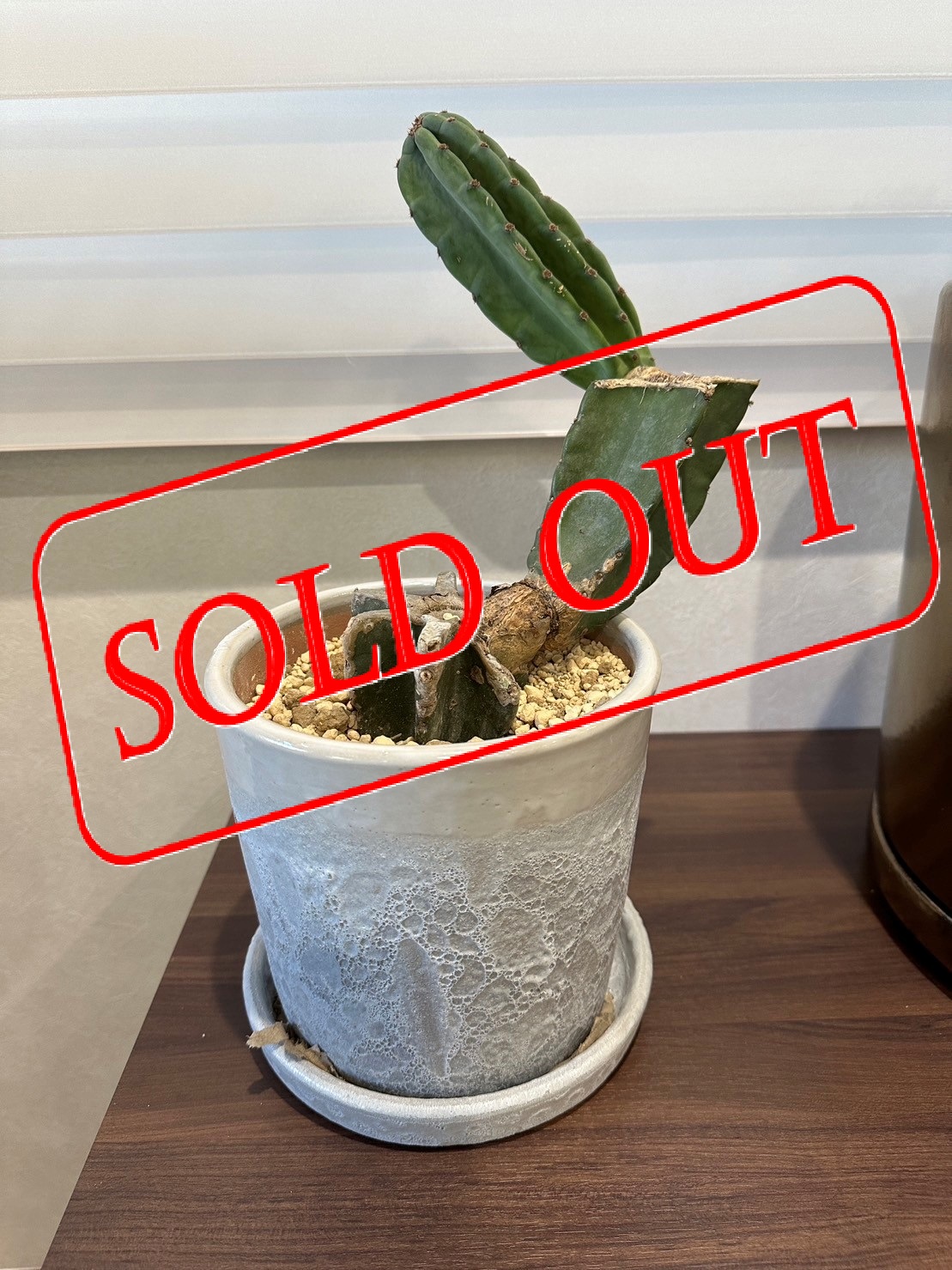 10-sold-out　