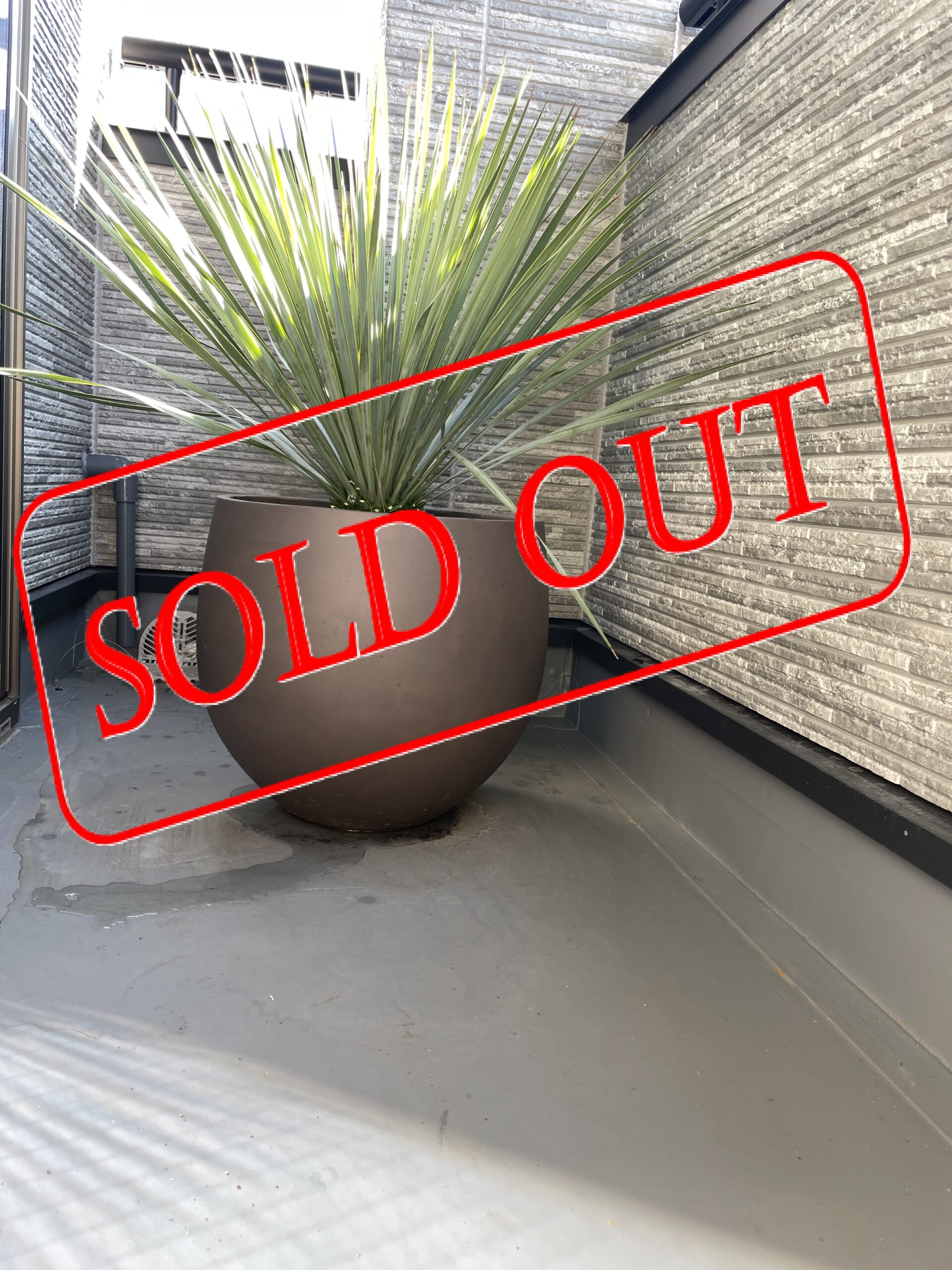 s-13 sold-out