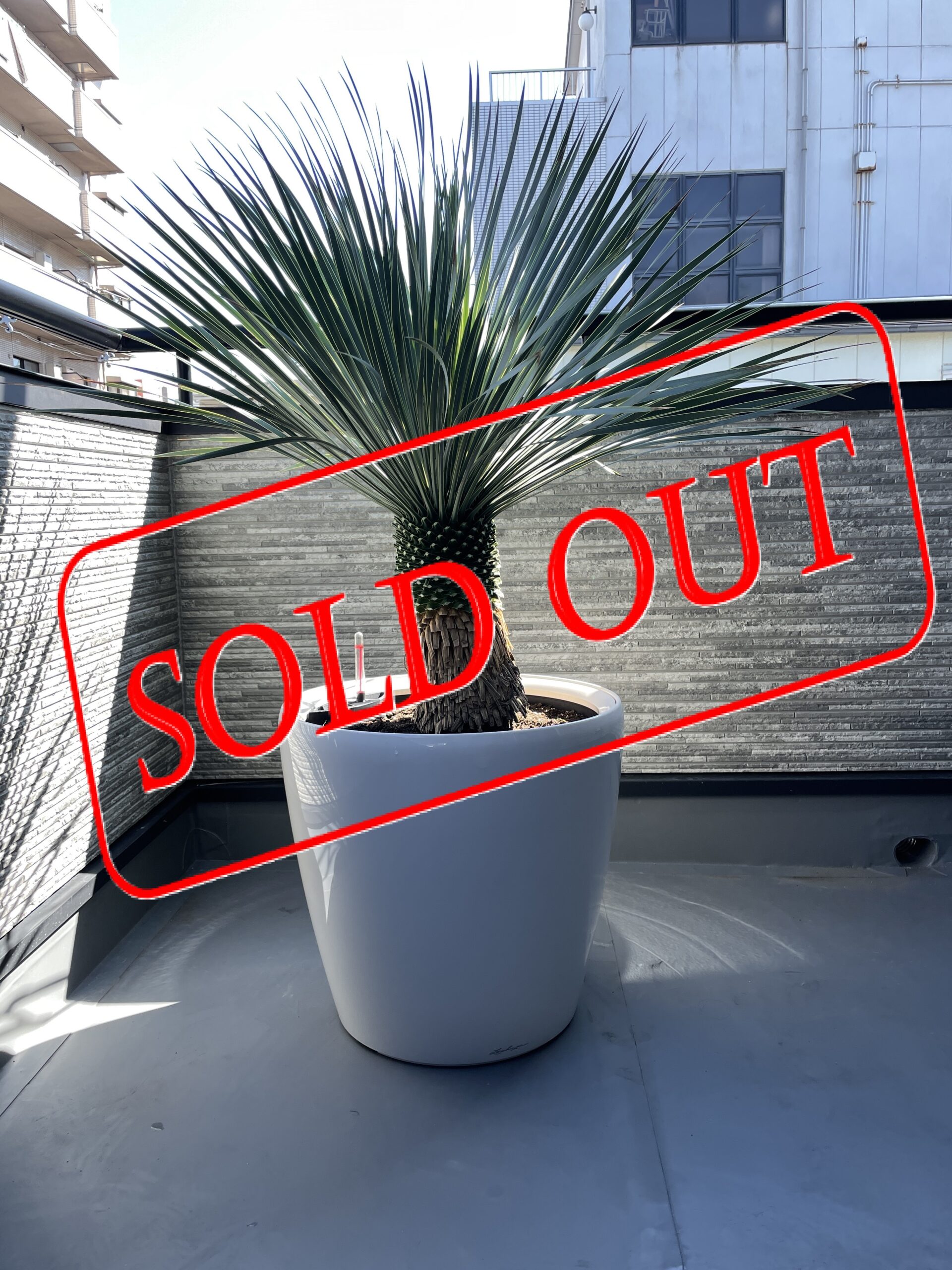 s-14 sold-out